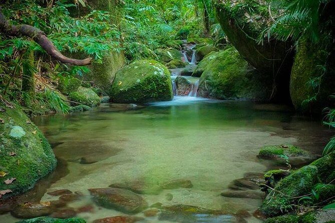 MOSSMAN GORGE TRANSFER between Port Douglas and Mossman Gorge (return) - Who Should Consider This Shuttle?