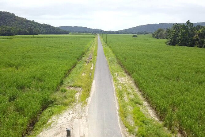 Mossman Highlights eBike Tour - A Deep Dive into the Mossman Highlights eBike Tour