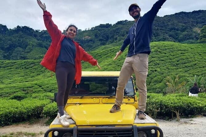 Mossy Forest in Brinchang Tour - Key Points