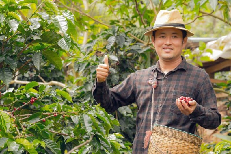 Most complete COFFEE TOUR at local family farm - Coffee Tasting and Sensory Insights