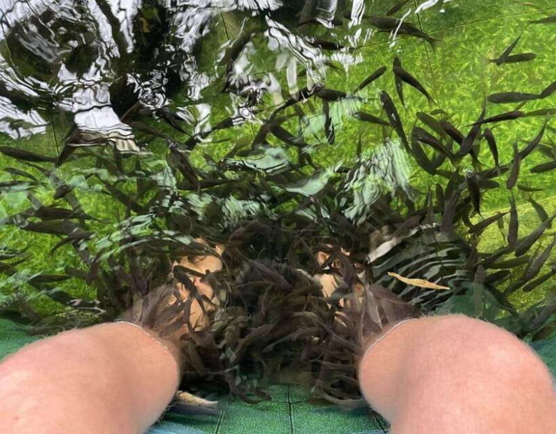 Most Luxurious Day Trip to Lan Ha Bay with Lunch from Hanoi - Key Points