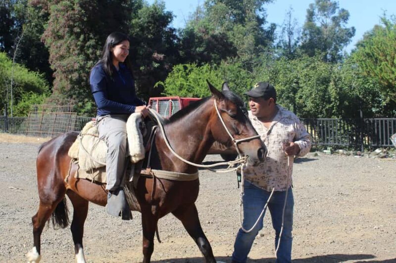 Mostazal: Rural Tour, Horseback Riding in the foothills of the Andes Mountains - Discover the Andes from a New Perspective: Horseback Riding in Mostazal