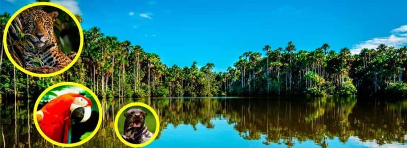 Mother of God: Saldoval Lake + Visit to the Macaws - An In-Depth Review of the Mother of God Tour