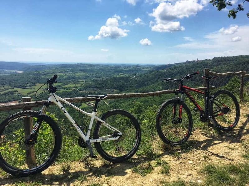Motovun: E-Bike Tour in Istria - The Experience and Value