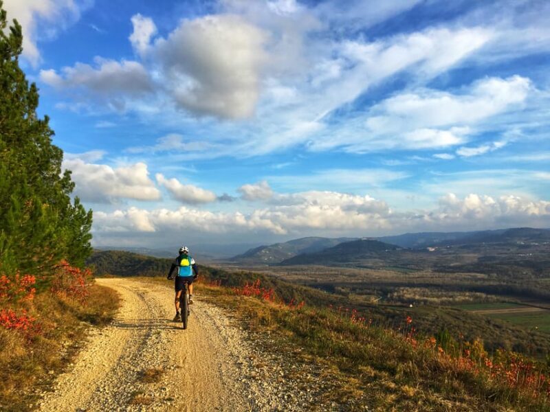 Motovun: E-Bike Tour in Istria - Final Thoughts