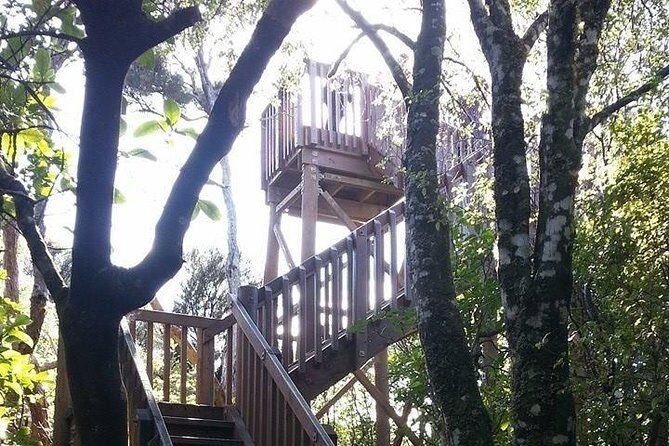 Motuara Island Bird Sanctuary and Ship Cove Cruise from Picton - A Deep Dive into the Experience