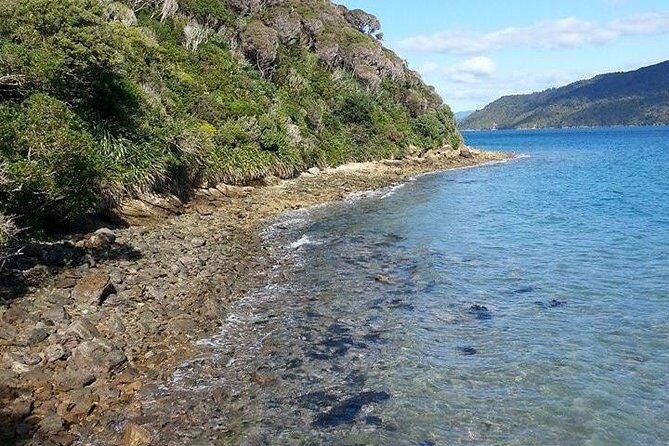 Motuara Island Bird Sanctuary and Ship Cove Cruise from Picton - Who is This Tour Perfect For?