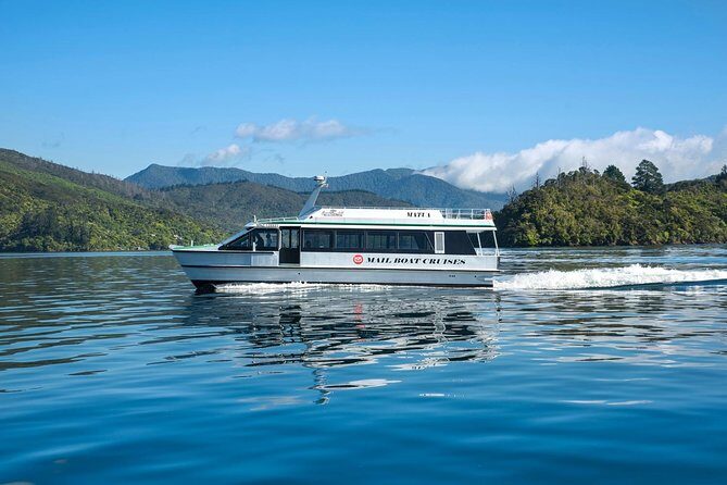 Motuara Island Bird Sanctuary and Ship Cove Cruise from Picton - The Sum Up