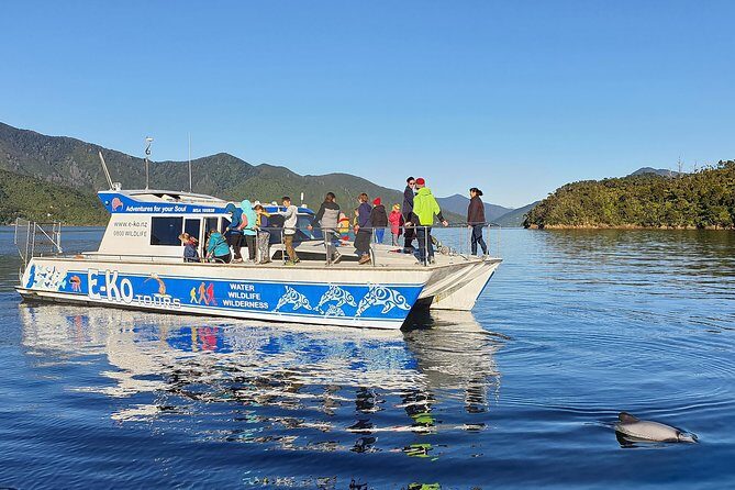 Motuara Wildlife Sanctuary Tour and Dolphin Cruise from Picton - The Sum Up: Is It Worth Your Time?