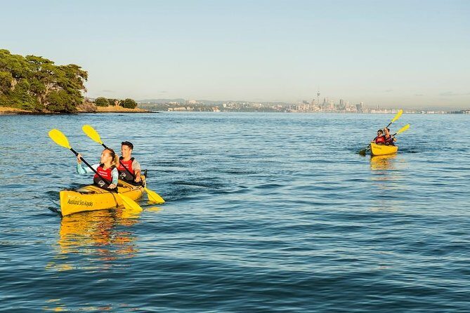 Motukorea / Browns Island Sea Kayak Journey - Discover the Browns Island Sea Kayak Journey: An Authentic Auckland Adventure