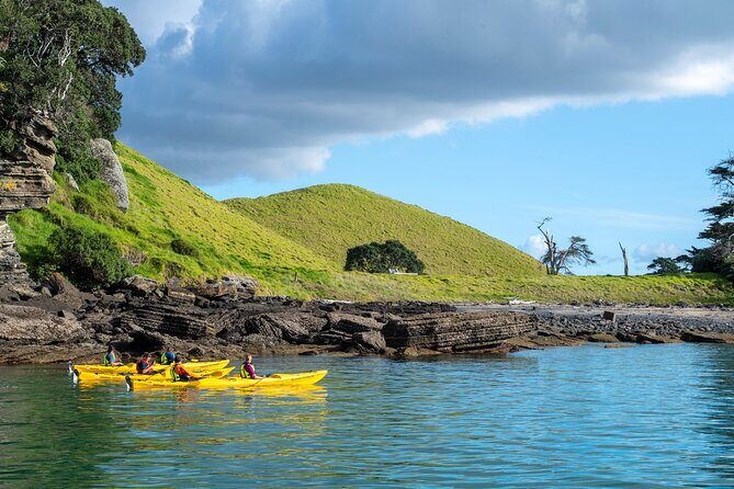Motukorea / Browns Island Sea Kayak Journey - Why This Tour Is a Standout Choice for Auckland Visitors