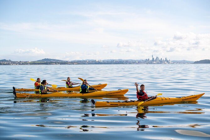 Motukorea / Browns Island Sea Kayak Journey - Who Should Consider This Tour?