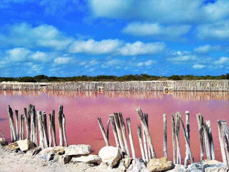 Motul, Hacienda, Xcambo, Pink Salt Mine & Progreso Day Trip - Who Will Love This Tour?