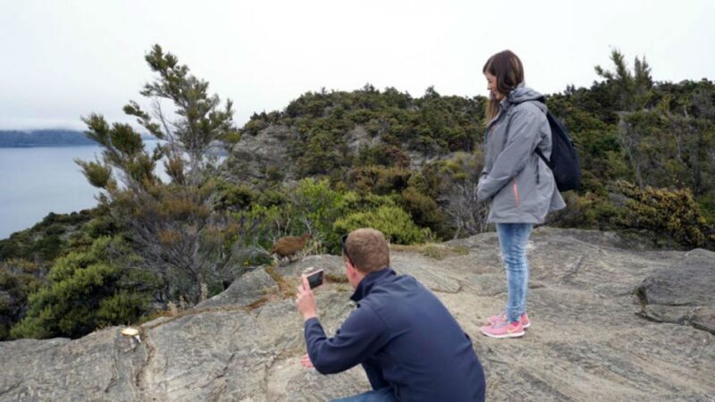 Mou Waho Island: 3-Hour Cruise and Guided Nature Walk - Final Thoughts: Is It Worth It?