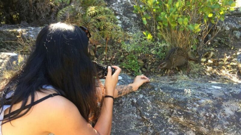 Mou Waho Island: 3-Hour Cruise and Guided Nature Walk - FAQ