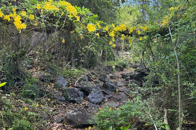 Mount Alma Hike And Beach Excursion (cruise ship friendly ) - FAQ