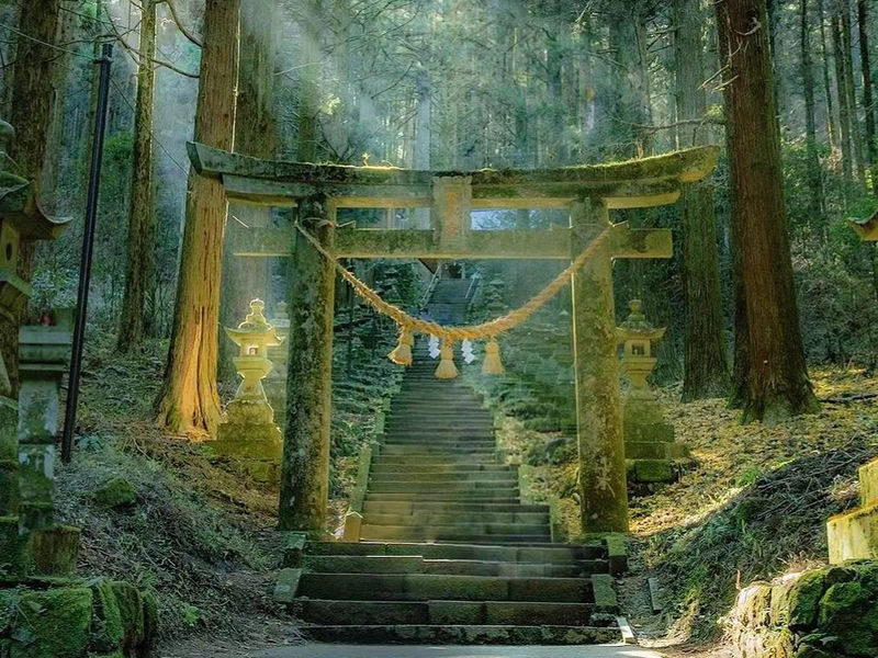 Mount Aso and Kurokawa Onsen One-Day Tour in Kumamoto Prefecture - Kamishikimi Shrine and its forest staircase