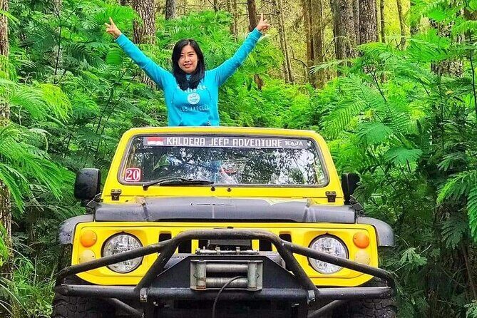 Mount Batur Jeep Tour - Beyond Mount Batur: Additional Options