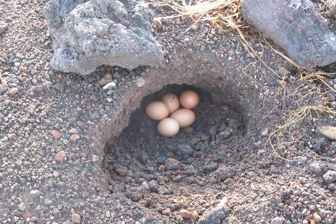 Mount Batur Sunrise Trekking With Breakfas - The Sum Up