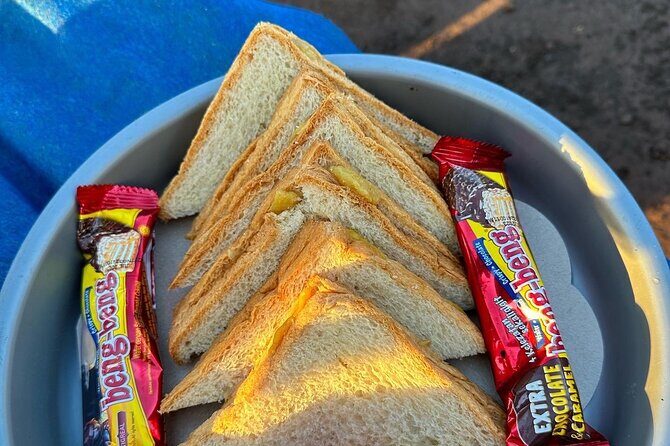 Mount Batur Trekking & Hot Spring - Who Should Book This Tour?