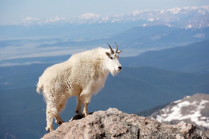 Mount Blue Sky Alpine Summit & Red Rocks Tour from Denver - Starting Point and Logistics