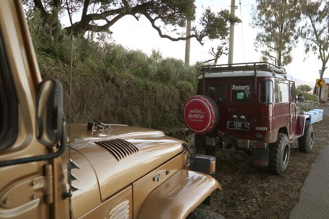 Mount Bromo Jeep Car Rental departure from MALANG - Practical Tips for Your Bromo Adventure