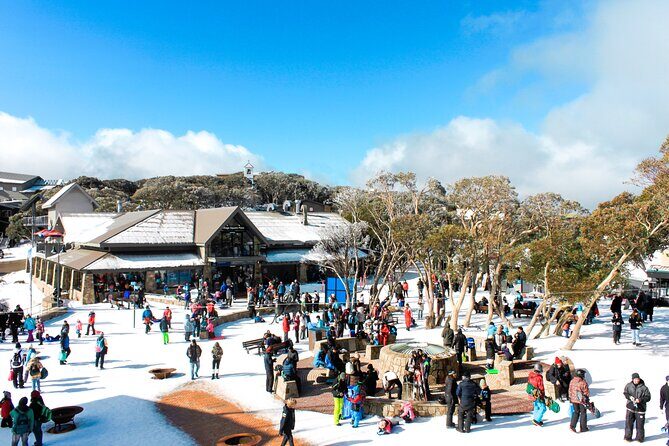 Mount Buller 1 Day Guided Tour - Exploring the Mount Buller 1 Day Guided Tour: A Snow Adventure Close to Melbourne