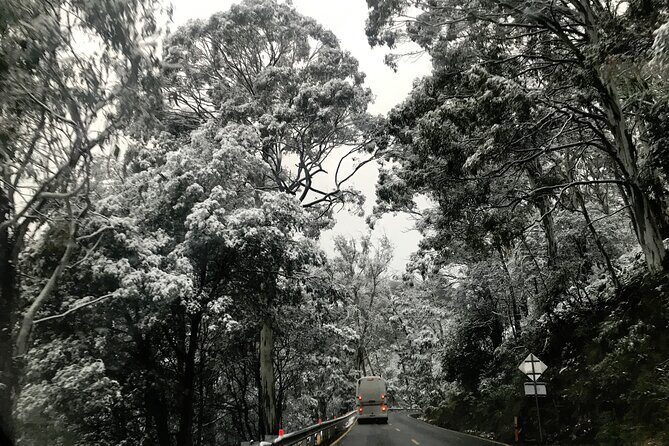 Mount Buller 1 Day Guided Tour - Summary: Who Will Love This Tour