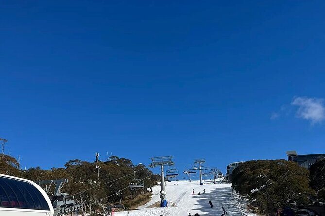 Mount Buller Best Private Ski Tour - Why It’s Worth Considering