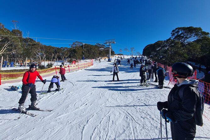 Mount Buller Day Tour from Melbourne - Who Would Love This Tour?