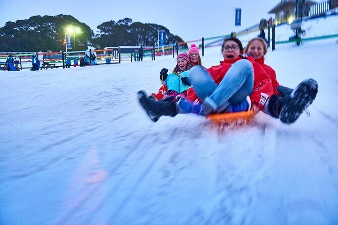 Mount Buller Sightseeing Tour - What Makes This Tour Stand Out?
