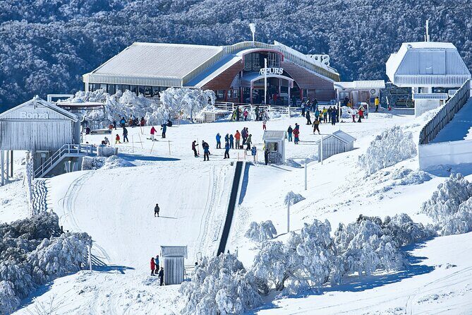 Mount Buller Sightseeing Tour - The Practicalities: What You Need to Know