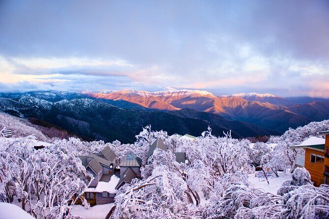Mount Buller Sightseeing Tour - FAQs