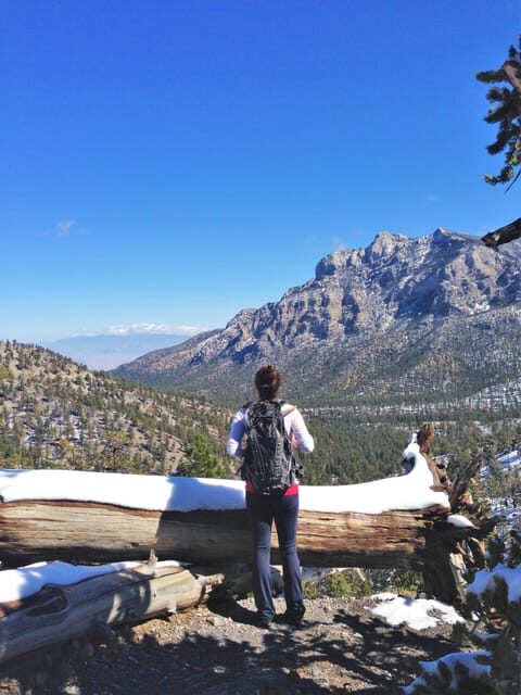Mount Charleston Driving Adventure: Escape to Nature - A Practical Look at the Tour Experience