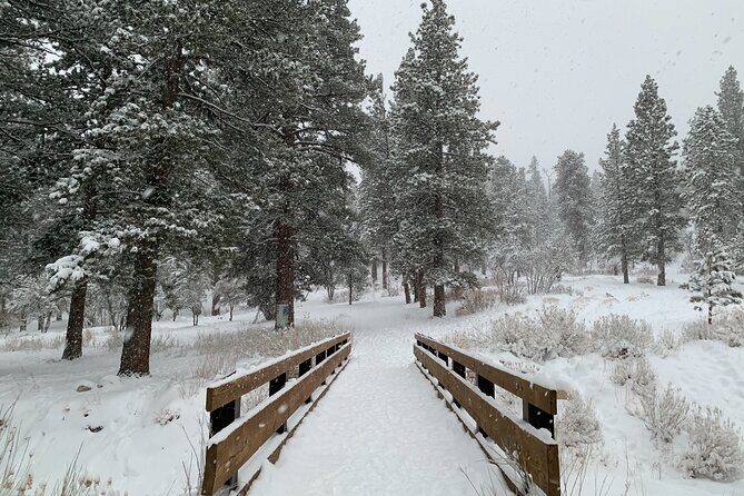 Mount Charleston Tour - Key Points