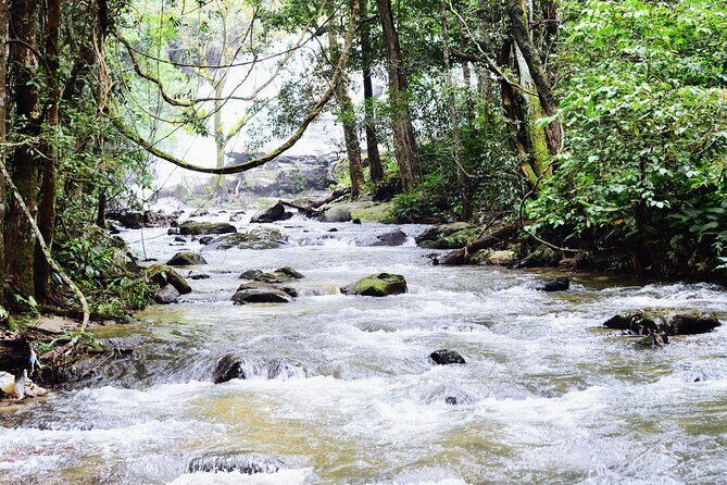 Mount Doi Inthanon National Park Sunrise and Hiking - Doi Inthanon Sunrise and Hiking: A Complete Review