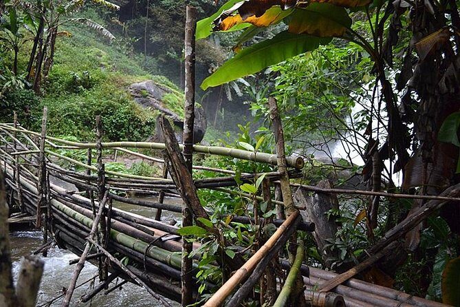 Mount Doi Inthanon National Park Sunrise and Hiking - Final Thoughts