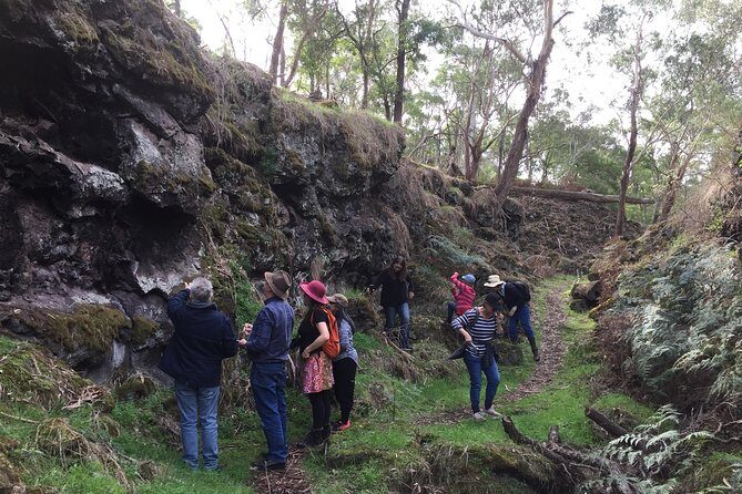 Mount Eccles Volcano  Budj Bim National Park - Exploring Mount Eccles (Budj Bim) Volcano: A Detailed Review