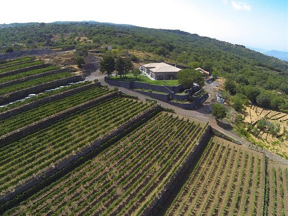 Mount Etna, Lunch in a Winery and Taormina Private Day-Trip from Messina - Frequently Asked Questions