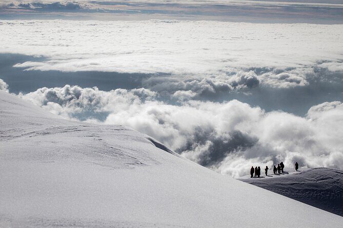 Mount Etna Morning Tour from Catania - Price and Value Analysis
