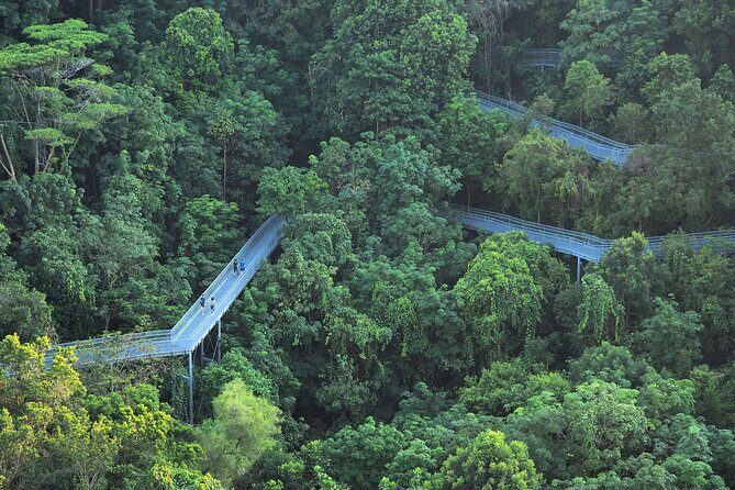 Mount Faber, Henderson Waves and Southern Ridges Tour - The Value of This Experience