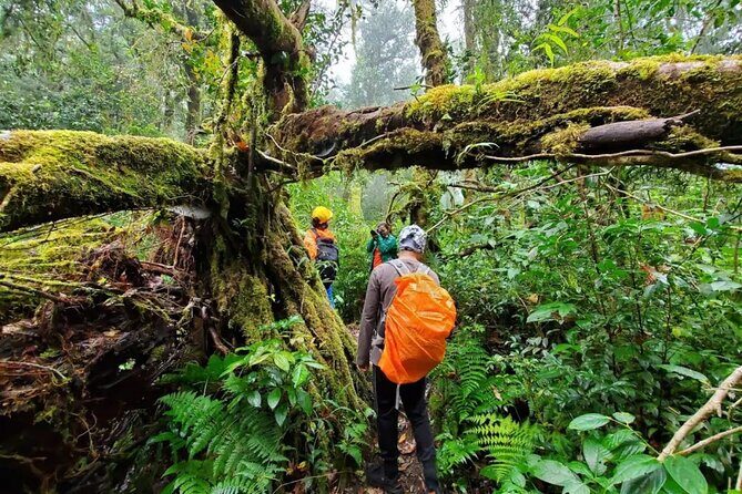 Mount Fansipan 2 Days Trek Roof of Indochina - The Authentic Experience: What Youll Take Away