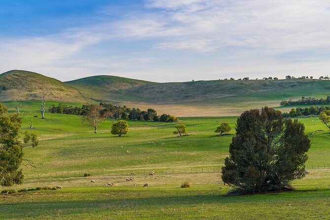 Mount Field Day Tour Private Charter Service - Who Should Consider This Tour?