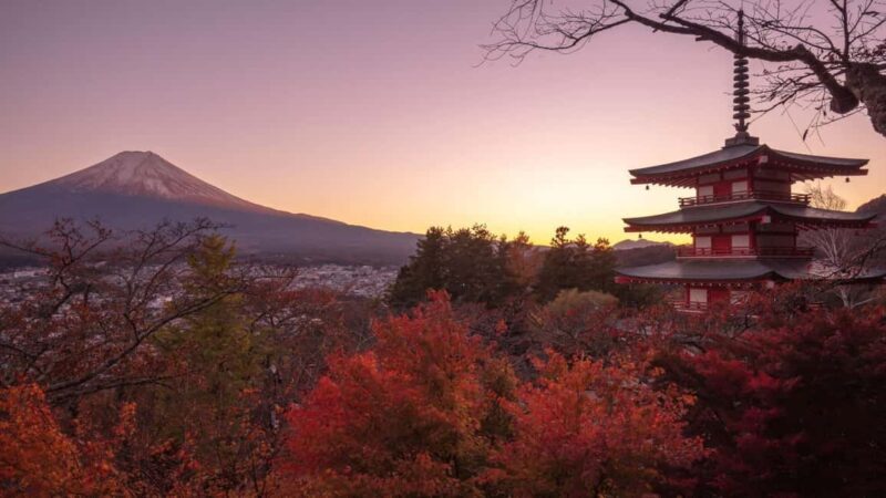 Mount Fuji 1-Day Trip: the Hottest Photography Tour - Key Points