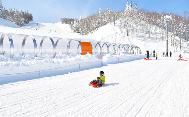 Mount Fuji 2nd Stage YETI Skiing & Hot Spring Resort Day Trip - The return to Tokyo, and how to plan around it