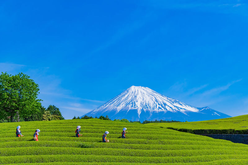 Mount Fuji 360 Panorama & Hidden Gems Day Tour from Tokyo - Climbing to Arakurayama Sengen Park’s famous viewpoint
