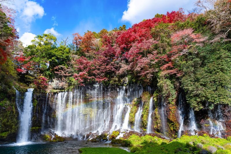 Mount Fuji 360 Panorama & Hidden Gems Day Tour from Tokyo - Finding clear spring water at Oshino Hakkai