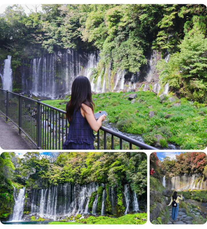 Mount Fuji 360 Panorama & Hidden Gems Day Tour from Tokyo - Seasonal park stops, with the route changing through the year