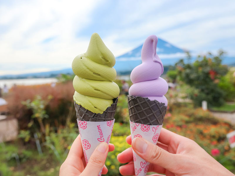 Mount Fuji 360 Panorama & Hidden Gems Day Tour from Tokyo - Who should book this tour