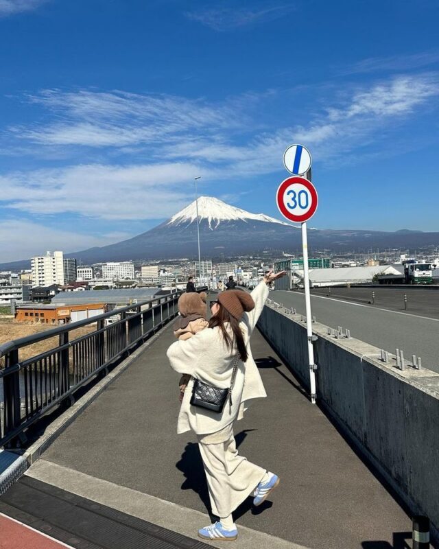 Mount Fuji 5 Must-Visit Instagram Spots Day Tour: Mount Fuji Yume no Ohashi Bridge, Lawson Convenience Store, Arakurayama Sengen Park, Honcho Shopping Street, and Oshino Hakkai (Guided in Chinese or English, Departing from Shinjuku, Tokyo) - Timing, transport, and the risk of delays